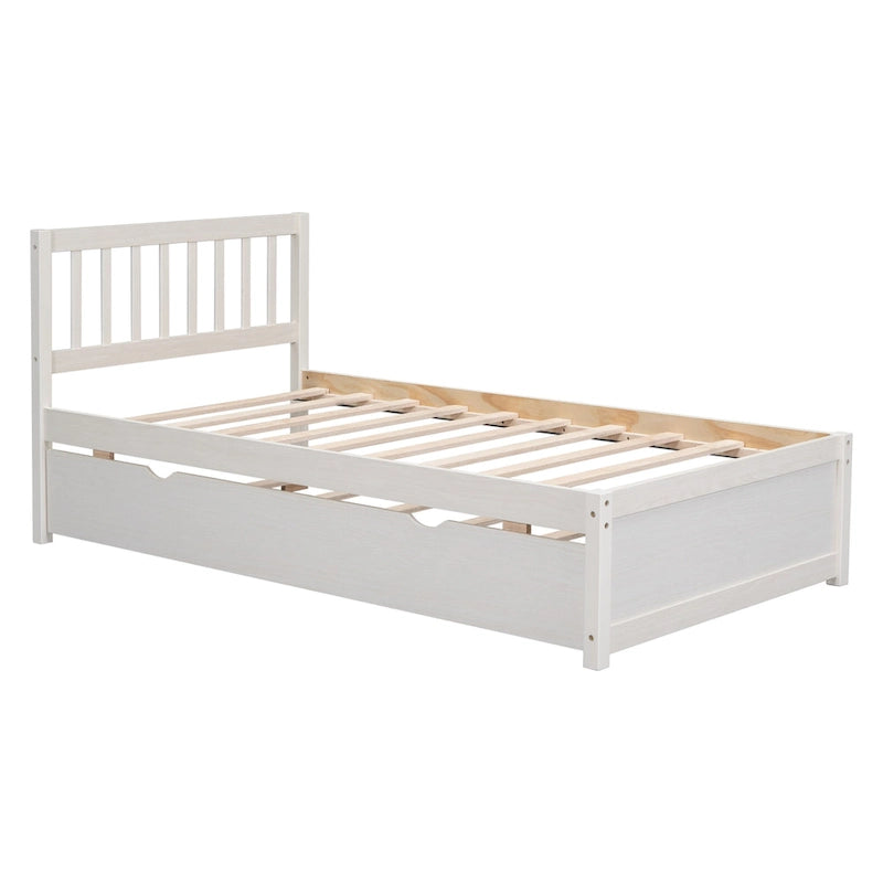 Lit plateforme double en bois d'hévéa et noyer blanc avec tiroir-gigogne, design moderne, pas besoin de sommier tapissier
